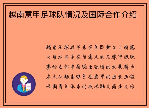 越南意甲足球队情况及国际合作介绍